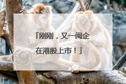 刚刚，又一闽企在港股上市！