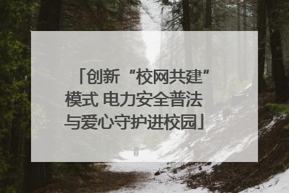创新“校网共建”模式 电力安全普法与爱心守护进校园