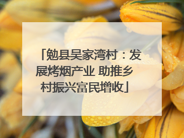 勉县吴家湾村：发展烤烟产业 助推乡村振兴富民增收