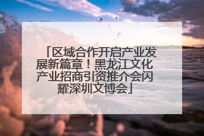 区域合作开启产业发展新篇章！黑龙江文化产业招商引资推介会闪耀深圳文博会