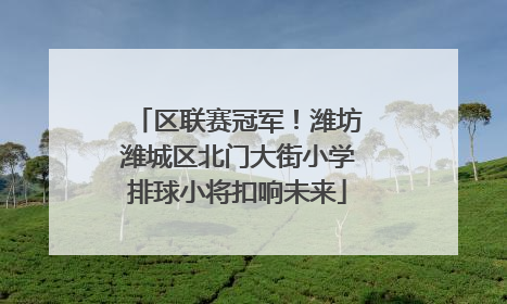 区联赛冠军！潍坊潍城区北门大街小学排球小将扣响未来
