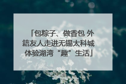 包粽子、做香包 外籍友人走进无锡太科城体验湖湾“趣”生活