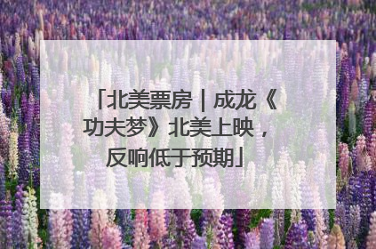 北美票房｜成龙《功夫梦》北美上映，反响低于预期