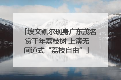 埃文凯尔现身广东茂名 赏千年荔枝树 上演无间道式“荔枝自由”