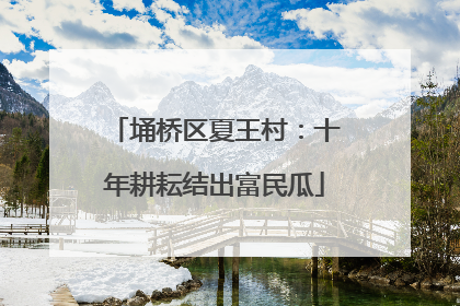 埇桥区夏王村：十年耕耘结出富民瓜