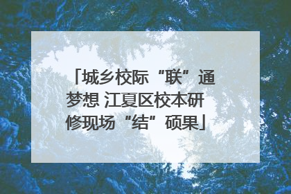 城乡校际“联”通梦想 江夏区校本研修现场“结”硕果