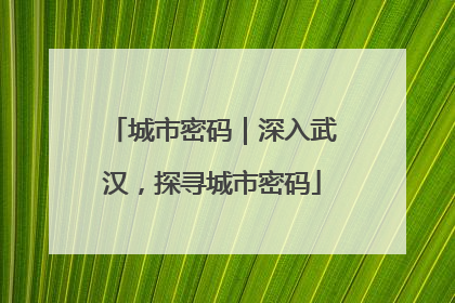 城市密码｜深入武汉，探寻城市密码