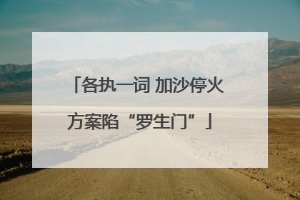 各执一词 加沙停火方案陷“罗生门”