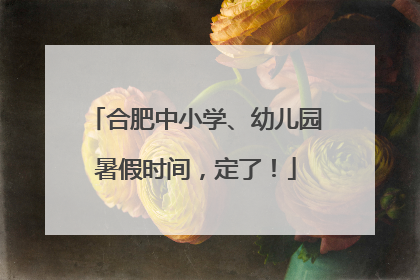 合肥中小学、幼儿园暑假时间，定了！