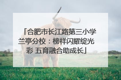合肥市长江路第三小学兰亭分校：榜样闪耀绽光彩 五育融合助成长