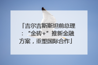 吉尔吉斯斯坦前总理：“金砖+”推新金融方案，重塑国际合作