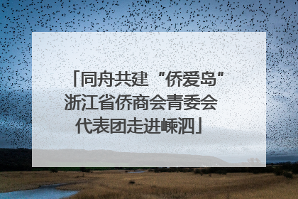 同舟共建“侨爱岛” 浙江省侨商会青委会代表团走进嵊泗
