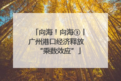 向海！向海③丨广州港口经济释放“乘数效应”