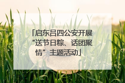 启东吕四公安开展“送节日粽、话团聚情”主题活动