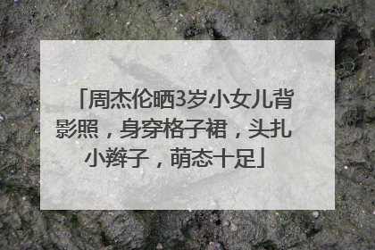 周杰伦晒3岁小女儿背影照，身穿格子裙，头扎小辫子，萌态十足