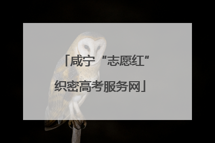 咸宁“志愿红”织密高考服务网