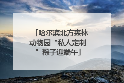 哈尔滨北方森林动物园“私人定制”粽子迎端午