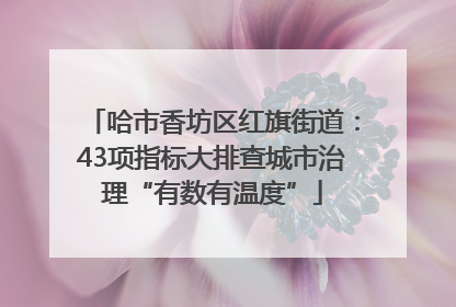 哈市香坊区红旗街道：43项指标大排查城市治理“有数有温度”