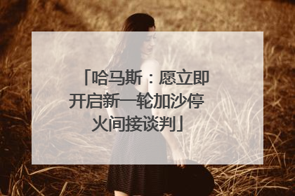 哈马斯：愿立即开启新一轮加沙停火间接谈判