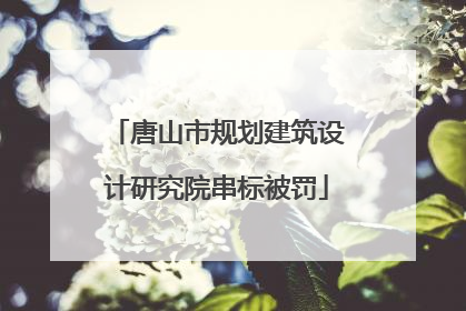 唐山市规划建筑设计研究院串标被罚