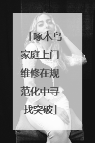 啄木鸟家庭上门维修在规范化中寻找突破