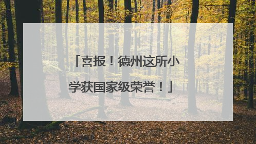 喜报！德州这所小学获国家级荣誉！