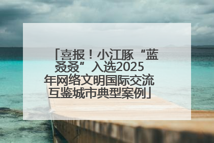 喜报！小江豚“蓝叒叒”入选2025年网络文明国际交流互鉴城市典型案例