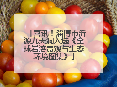 喜讯！淄博市沂源九天洞入选《全球岩溶景观与生态环境图集》