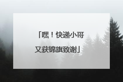 嘿！快递小哥又获锦旗致谢