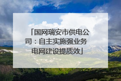 国网瑞安市供电公司：自主实施强业务 电网建设提质效