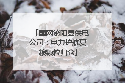 国网泌阳县供电公司：电力护航夏粮颗粒归仓