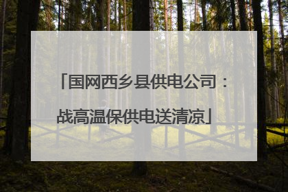 国网西乡县供电公司：战高温保供电送清凉