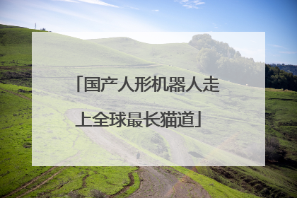 国产人形机器人走上全球最长猫道
