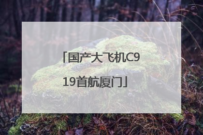 国产大飞机C919首航厦门