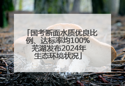国考断面水质优良比例、达标率均100% 芜湖发布2024年生态环境状况