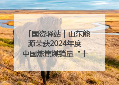 国资驿站｜山东能源荣获2024年度中国炼焦煤销量“十强”；全国首例铁路盖上智慧物流园钢结构主体完工