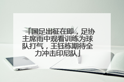 国足出征在即，足协主席雨中观看训练为球队打气，王钰栋期待全力冲击印尼队
