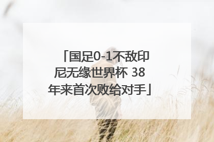 国足0-1不敌印尼无缘世界杯 38年来首次败给对手