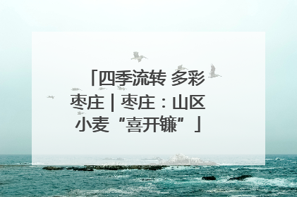 四季流转 多彩枣庄｜枣庄：山区小麦“喜开镰”