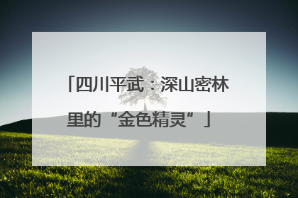 四川平武：深山密林里的“金色精灵”
