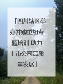 四川辖区举办并购重组专题培训 助力上市公司高质量发展