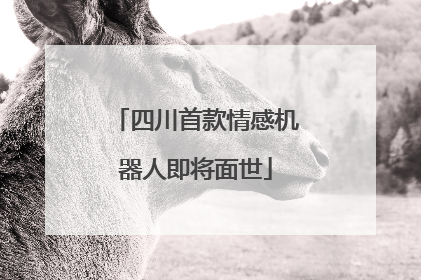 四川首款情感机器人即将面世