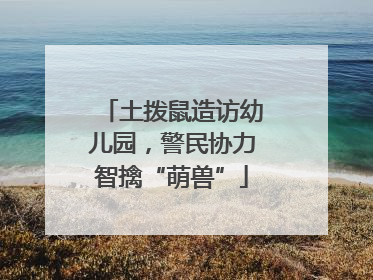 土拨鼠造访幼儿园，警民协力智擒“萌兽”