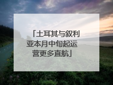 土耳其与叙利亚本月中旬起运营更多直航
