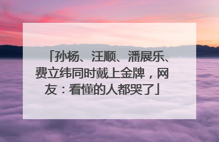 孙杨、汪顺、潘展乐、费立纬同时戴上金牌，网友：看懂的人都哭了