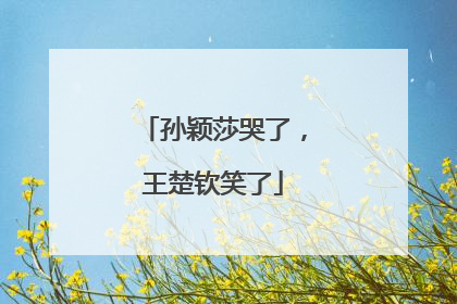 孙颖莎哭了，王楚钦笑了