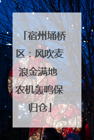 宿州埇桥区：风吹麦浪金满地 农机轰鸣保归仓