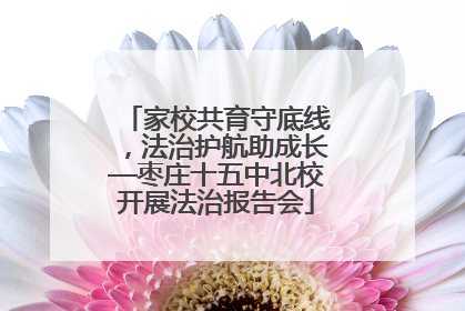 家校共育守底线，法治护航助成长—枣庄十五中北校开展法治报告会