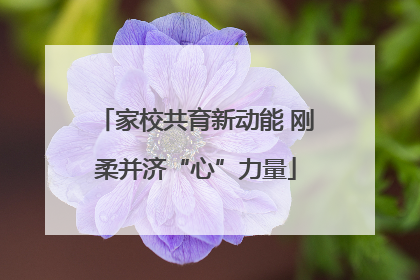 家校共育新动能 刚柔并济“心”力量
