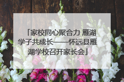 家校同心聚合力 雁湖学子共成长——怀远县雁湖学校召开家长会